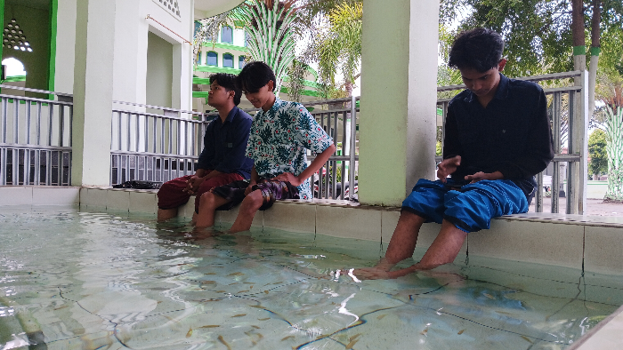 KOLAM TERAPI : Pengjung menikmati sensasi terapi di kolam ikan Garra Rufa di Masjid Nurul Falah, Desa Wonojati, Kecamatan Jenggawah M ADHI SURYA/RADAR JEMBER