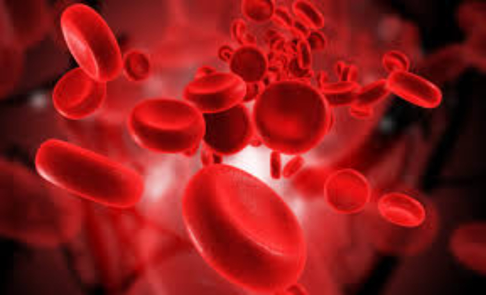 Ilustrasi sel darah merah (Foto : Hello Sehat)
