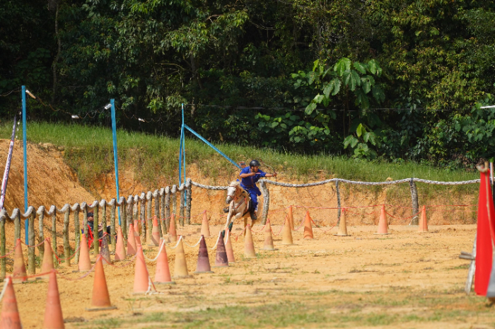 BERLATIH: Atlet panahan berkuda berlatih di Kopral Training Center, Dusun Bulangan, Desa Lengkong, Kecamatan Mumbulsari. KOPRAL JEMBER