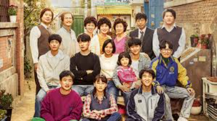 Reply 1988 (iQiYi)