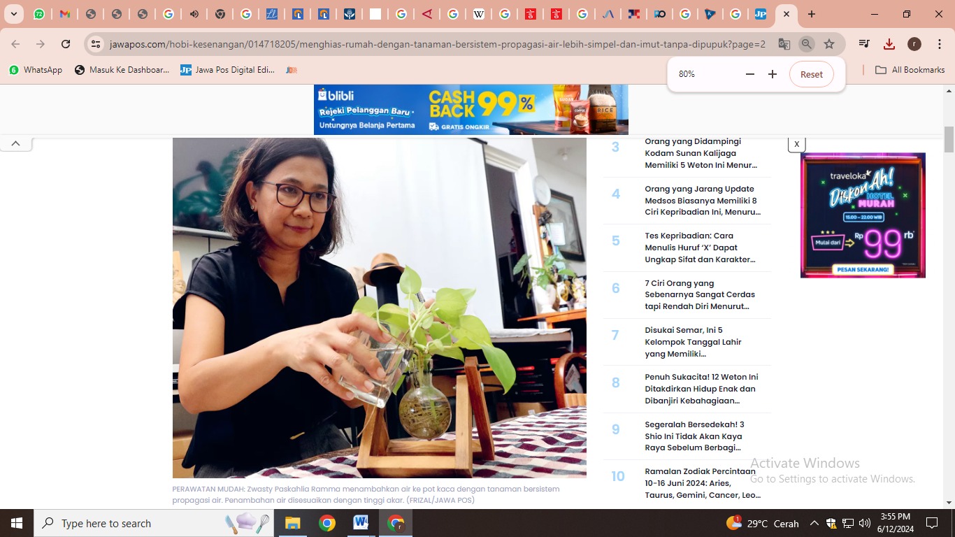 Merawat tanaman di ruang keluarga