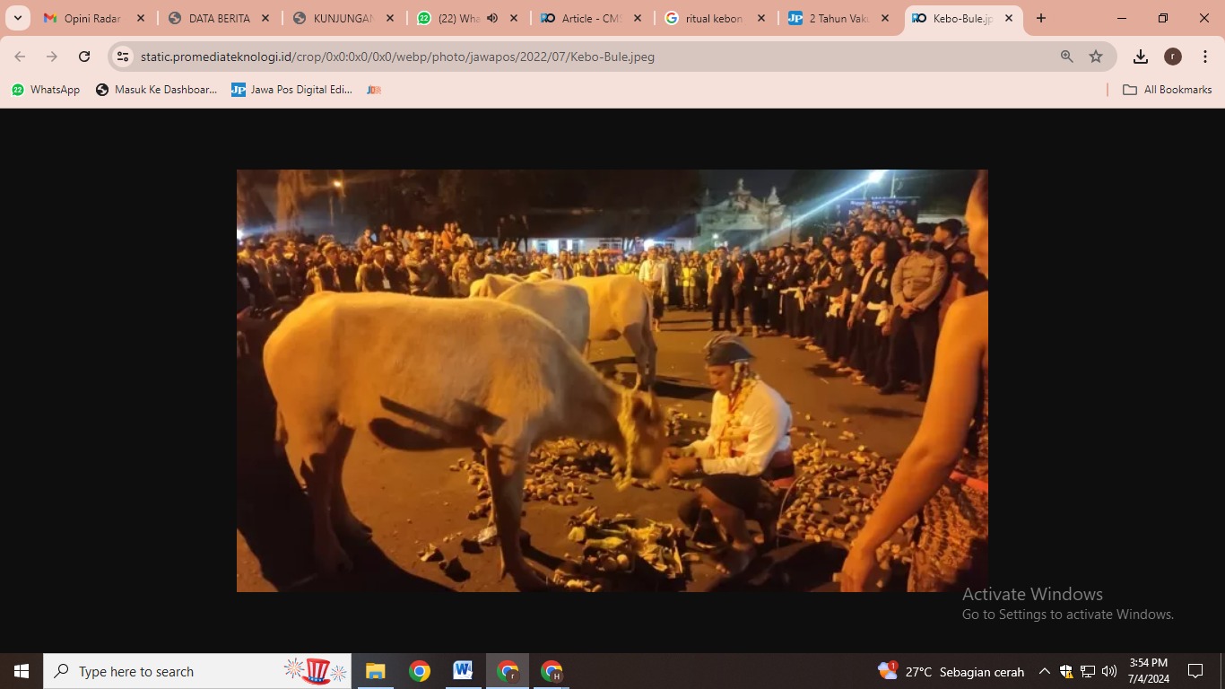 Kirab kebo bule yang menjadi ritual pada malam 1 suro di Solo. (foto: Jawa Pos)
