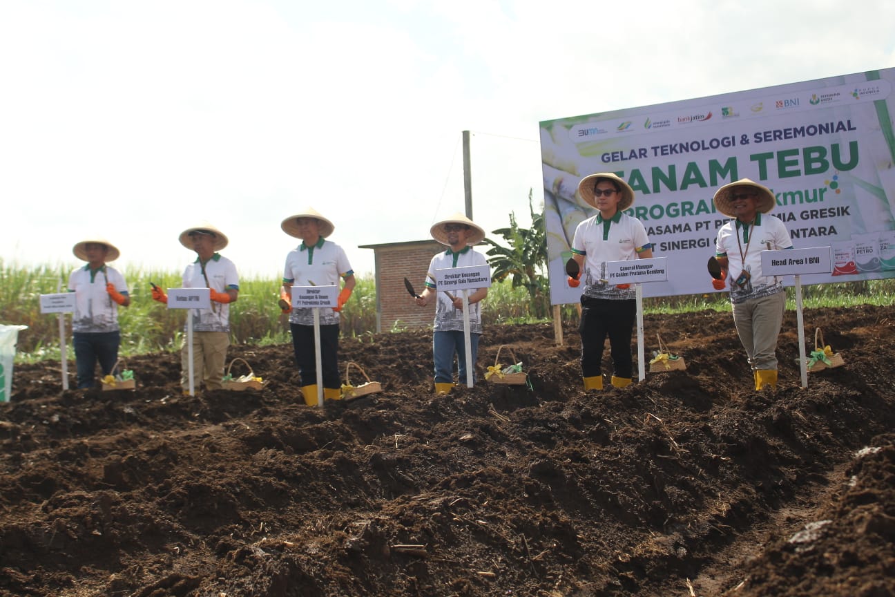 BERKUMPUL: beberapa pejabat dari berbagai pihak melakukan panen tebu secara simbolis, Kamis  (4/7).