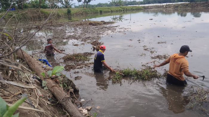 KOMPAK: Sejumlah warga ketika membersihkan Waduk Lembung-Sari, Kecamatan Ajung, Selasa kemarin (2/6). ABDUL MUIZ/RADAR JEMBER