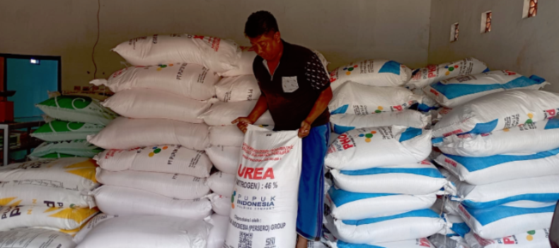MENUMPUK: Salah seorang petani menebus pupuk subsidi di kios yang ada di wilayah Jember. Mereka bisa melakukan hal itu melalui iPubers. DOKUMENTASI JUMANTORO