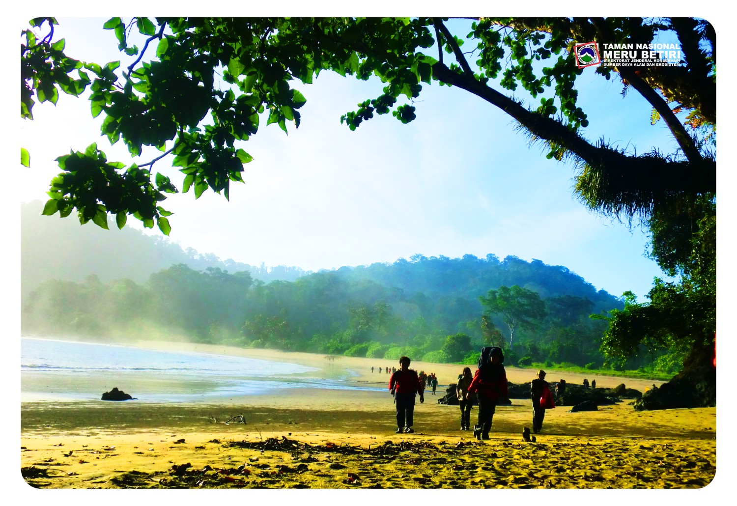 Pemandangan Teluk Meru yang berada di kawasan Taman Nasional Meru Betiri (foto: TNMB)