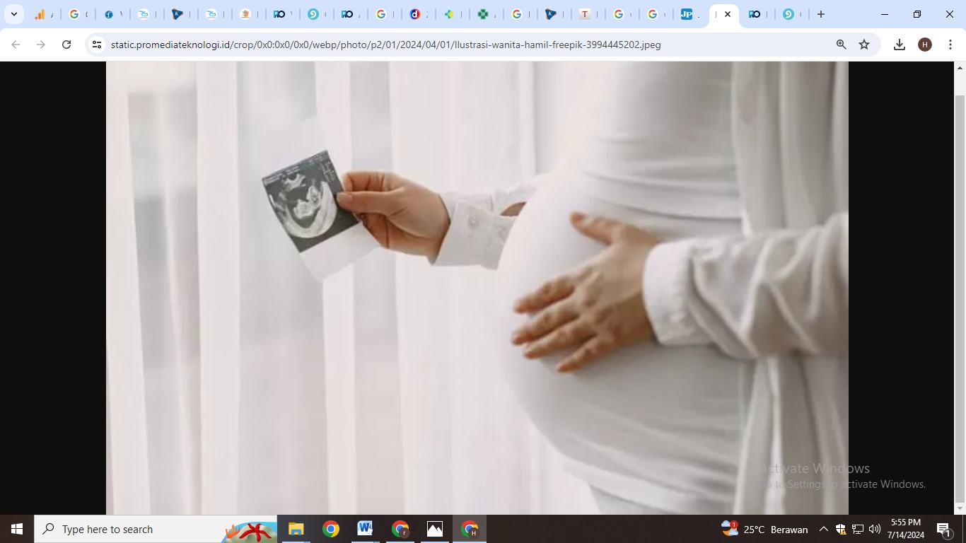 Ilustrasi foto ibu hamil (freepik/prostooleh)