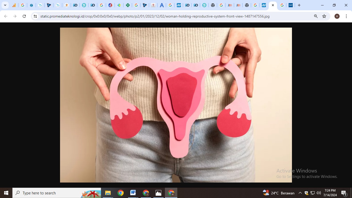 ilustrasi rahim perempuan (freepik)