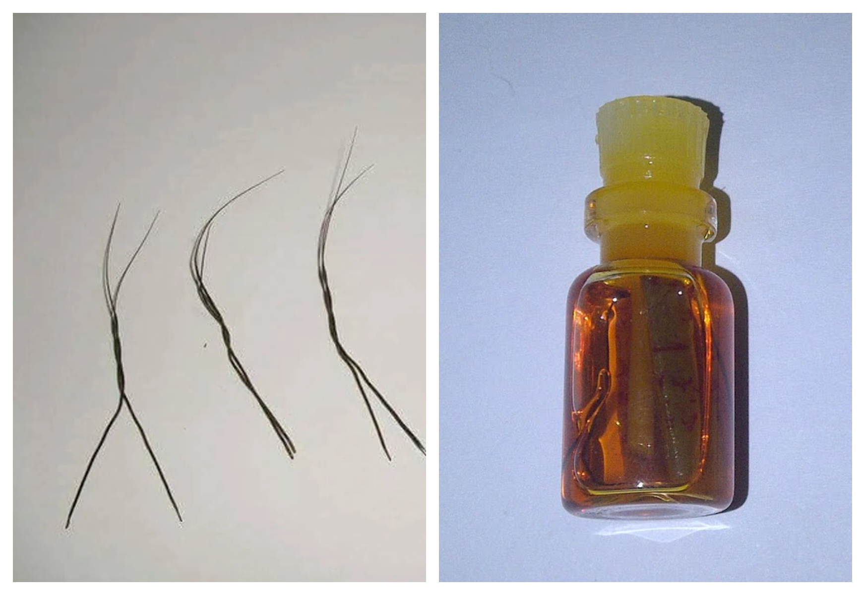 Ilustrasi pelet bulu perindu (Foto : Istimewa)