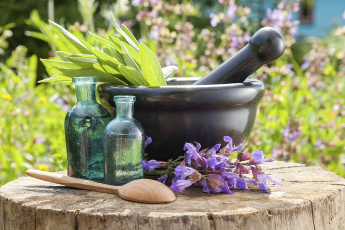 Ilustrasi ramuan herbal (Sumber foto: Pinterest)