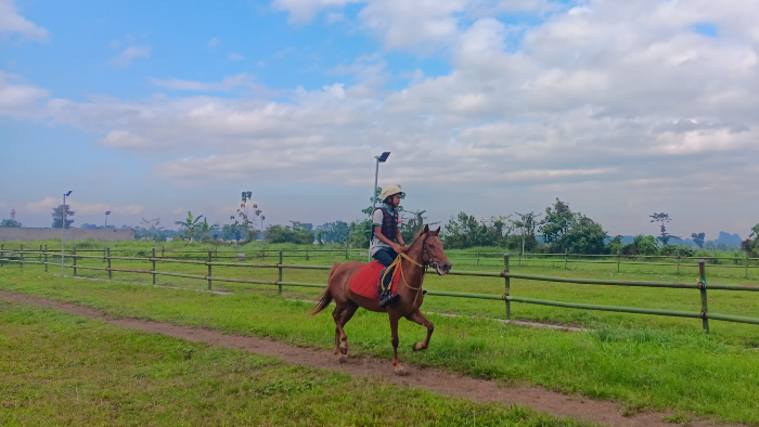 ASAH KEMAMPUAN: Atlet pacuan kuda melakukan sesi latihan di arena kuda JRC, Desa Wirowongso, Kecamatan Ajung. M ADHI SURYA/RADAR JEMBER