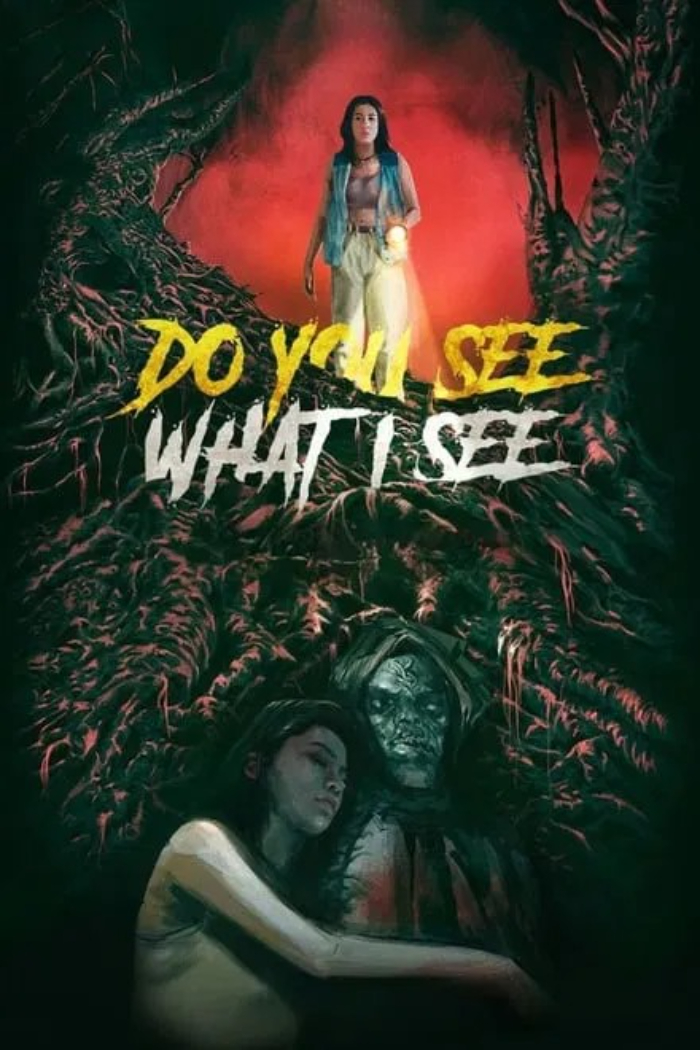 Poster Film Horor Do You See What I See, themoviedb.org (TMDB)