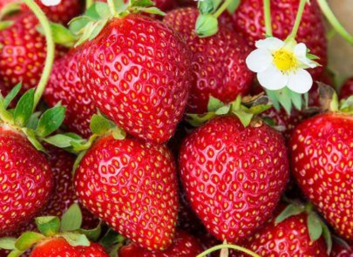 Buah Strawberry (Pinterest)