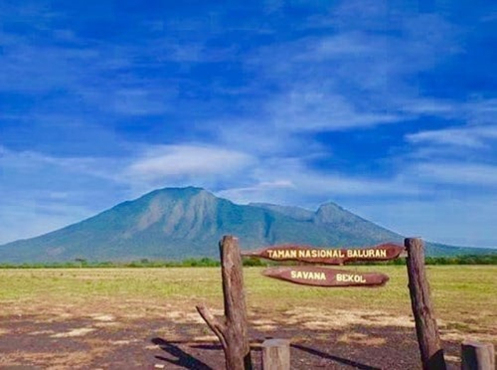 Wisata Taman Nasional Baluran menyajikan pemandangan yang indah (tempatwisata.pro)