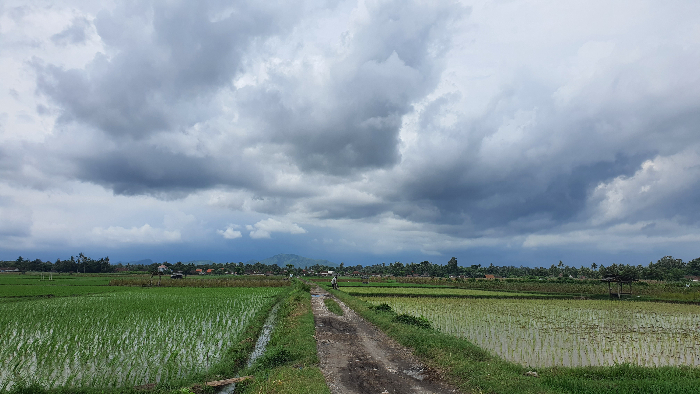 MENDUNG: Kondisi cuaca di langit Kecamatan Ambulu, kemarin (19/1) siang. Wilayah Jember yang bersebelahan langsung dengan pantai selatan. AZZQAL AZQIYA