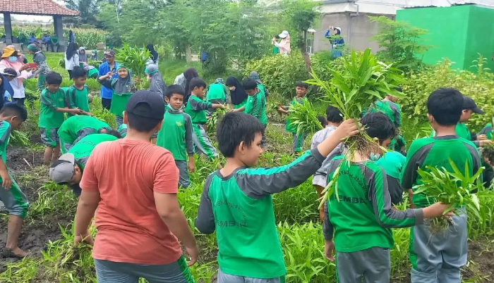 BELAJAR DAN BERMAIN: Sejumlah siswa mengunjungi lahan pertanian di SMKN 5 Jember. Sekolah kejuruan negeri di Jubung, Kecamatan Sukorambi, tersebut banyak menyediakan wisata edukasi.