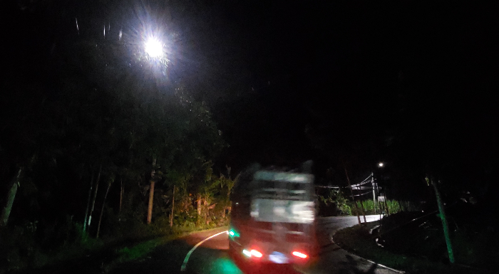 GELAP: PJU di jalan jurusan Jember&ndash;Banyuwangi tepatnya di Desa Garahan, Kecamatan Silo, terhalang ranting pohon. JUMAI/ RADAR JEMBER