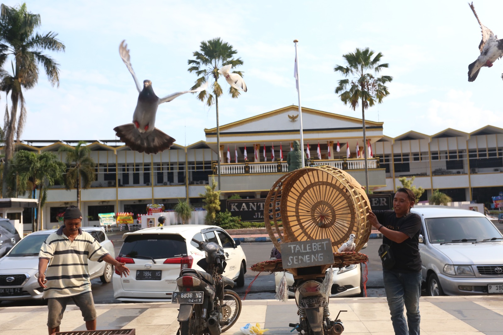 MEGA SILVIA/RADAR JEMBER ANTUSIAS: Komunitas Sakera Bersatu Jember melepaskan puluhan merpati sebagai cara memeriahkan penyambutan Bupati Jember Muhammad Fawait di Alun-Alun Jember, Senin (3/3).