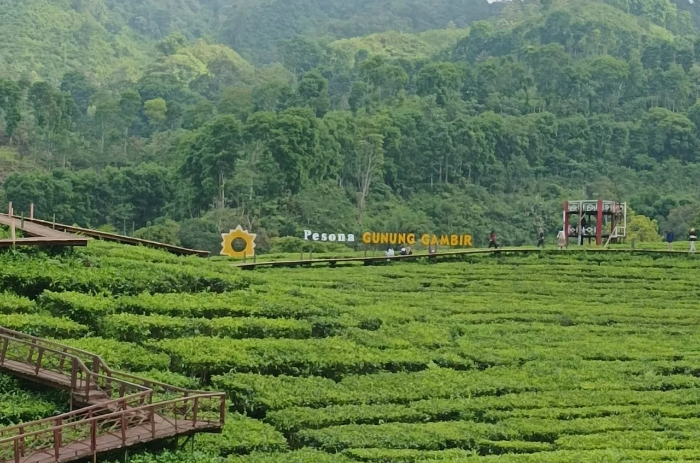 Pesona keindahan alam wisata Gunung Gambir (Diva Asadia Nirmala Nugraha)