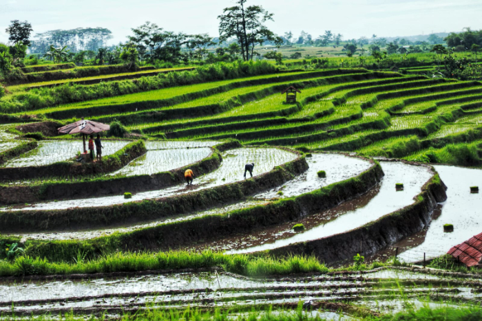 SEJUK: Suasana pemandangan objek wisata Sumber Nah yang sejuk di Desa Kalisemut, Kecamatan Padang. FARIS FOR RADAR SEMERU