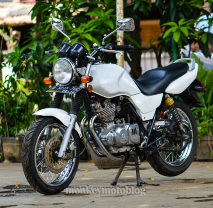 Suzuki Thunder 250 (Foto: MonkeyMotoBlog)