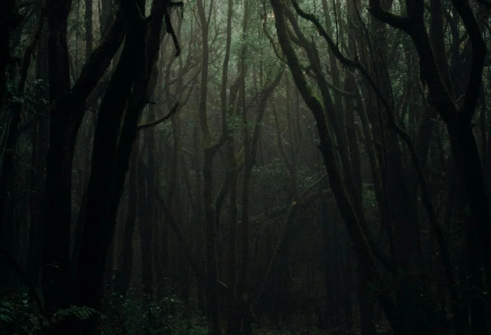 Sumber foto: Pexels.com