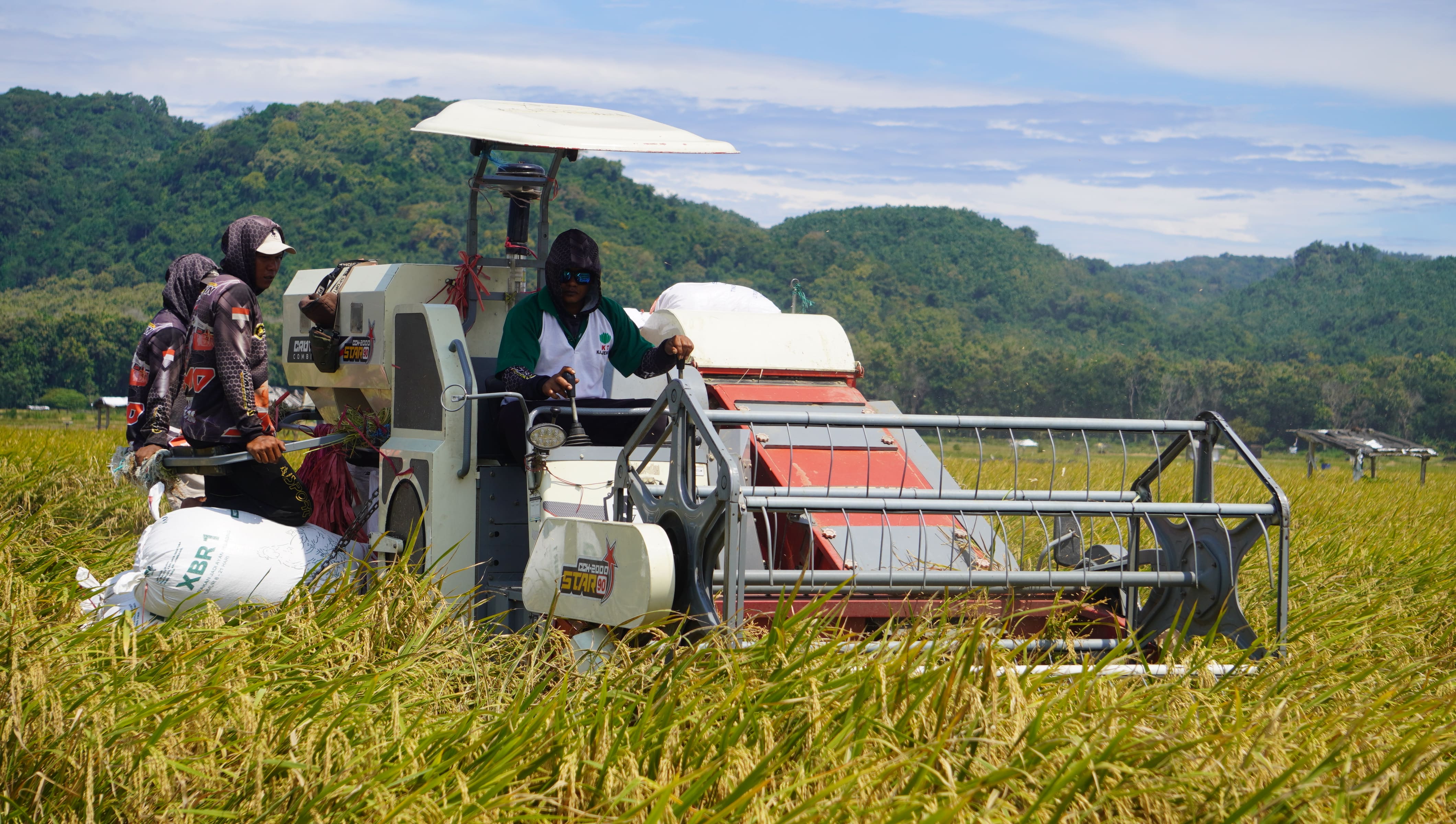 LEBIH CEPAT: Proses pemanenan padi di sawah milik Ahmad Taufiq menggunakan mesin combine harvester di Desa Sumberejo Kecamatan Ambulu, Kamis (1/5) lalu. (MEGA SILVIA/RADAR JEMBER)