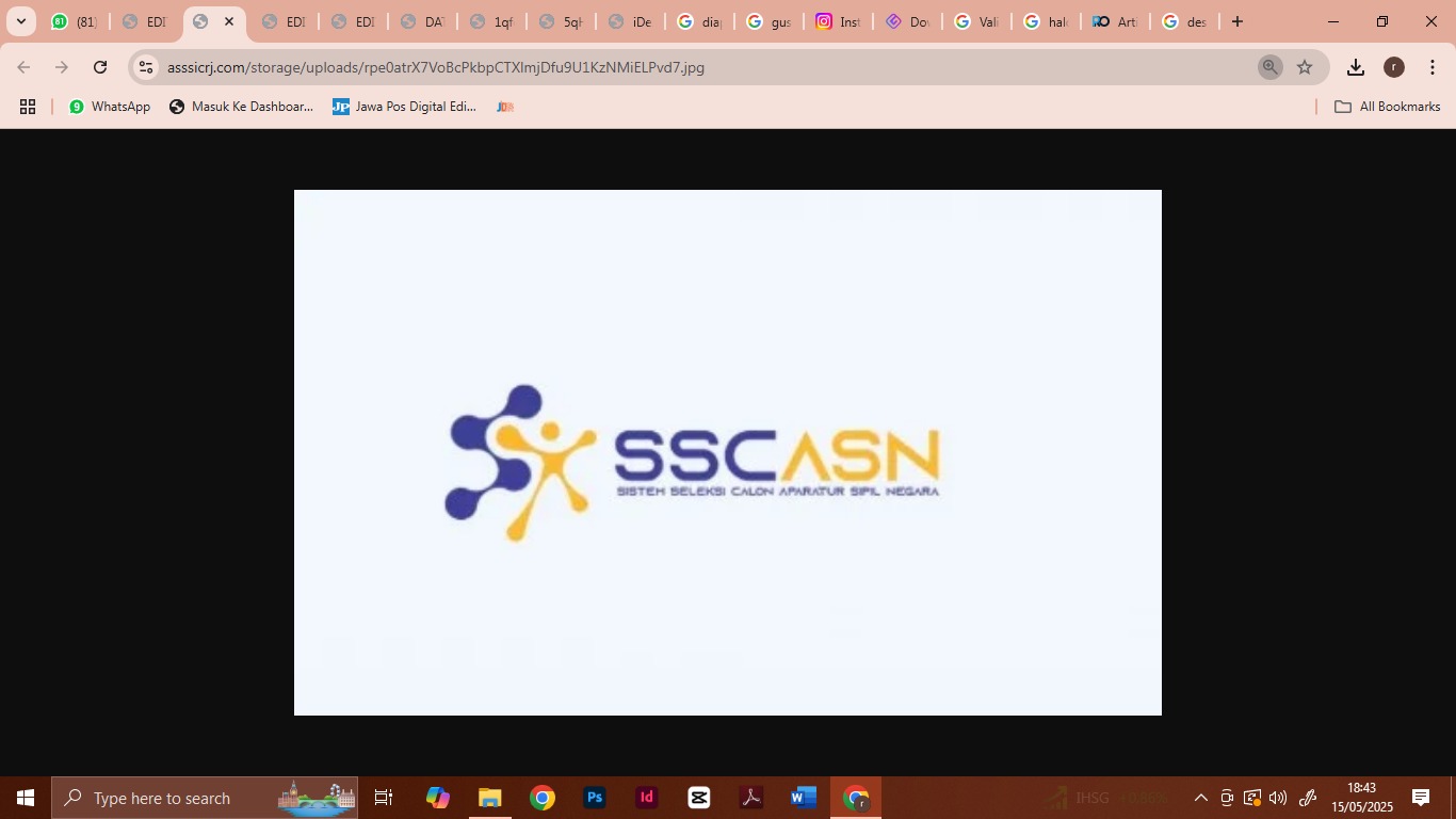 portal SSCASN milik BKN