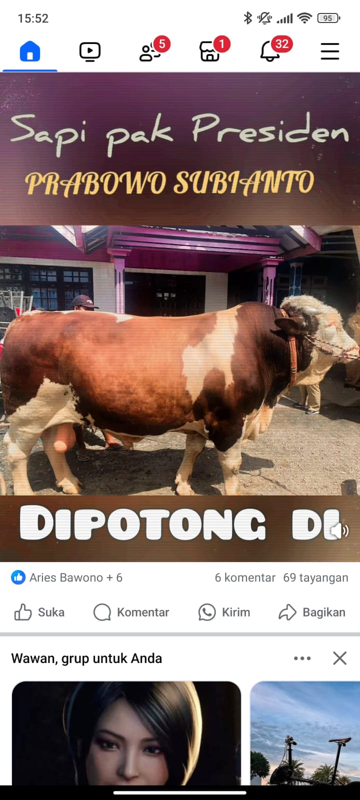 Sapi limosin dari Presiden Prabowo Subianto yang dibeli dari peternak Bondowoso