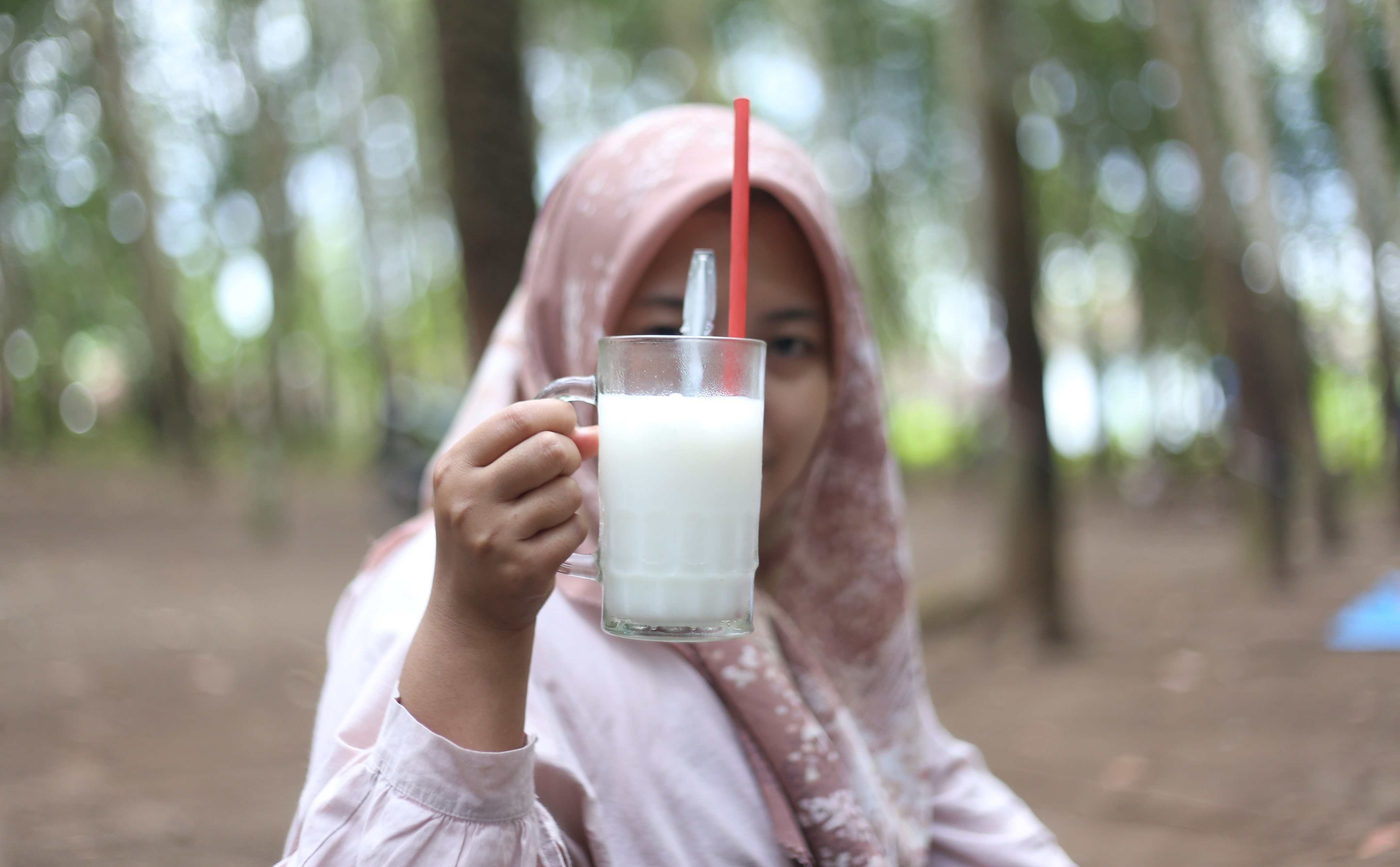 Salah satu pengunjung menikmati segelas es kelapa muda di Kebun Glantangan Jember.