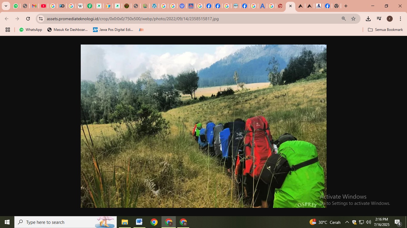 Salah satu trek pendakian terpanjang yang ada di Gunung Argopuro. (Instagram @kitingee)