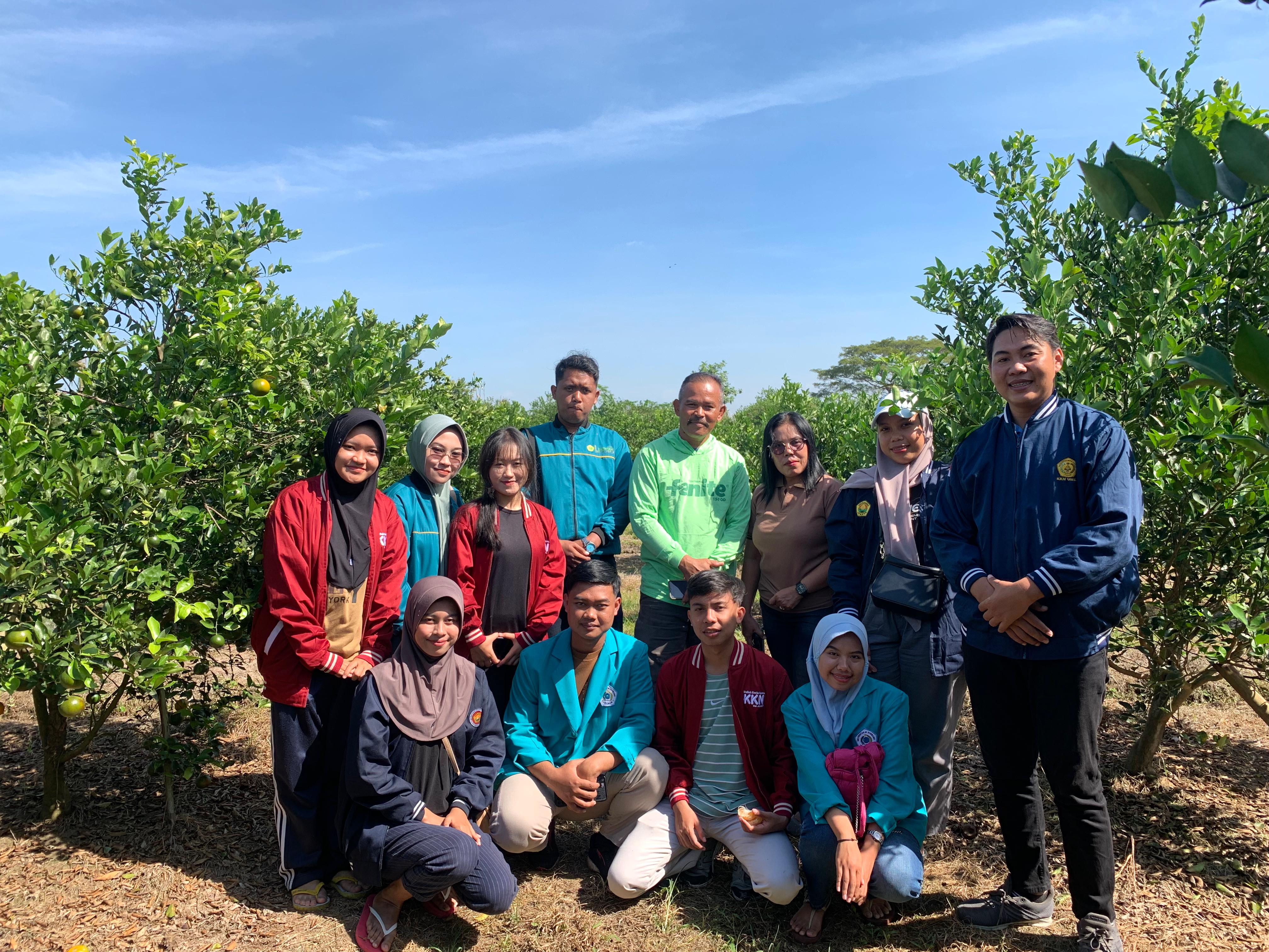Kunjungan Mahasiswa KKN Kolaboratif 109 di kebon jeruk milik Pak Adi Winarno (Tim PDD KKN Kolaboratif 109)