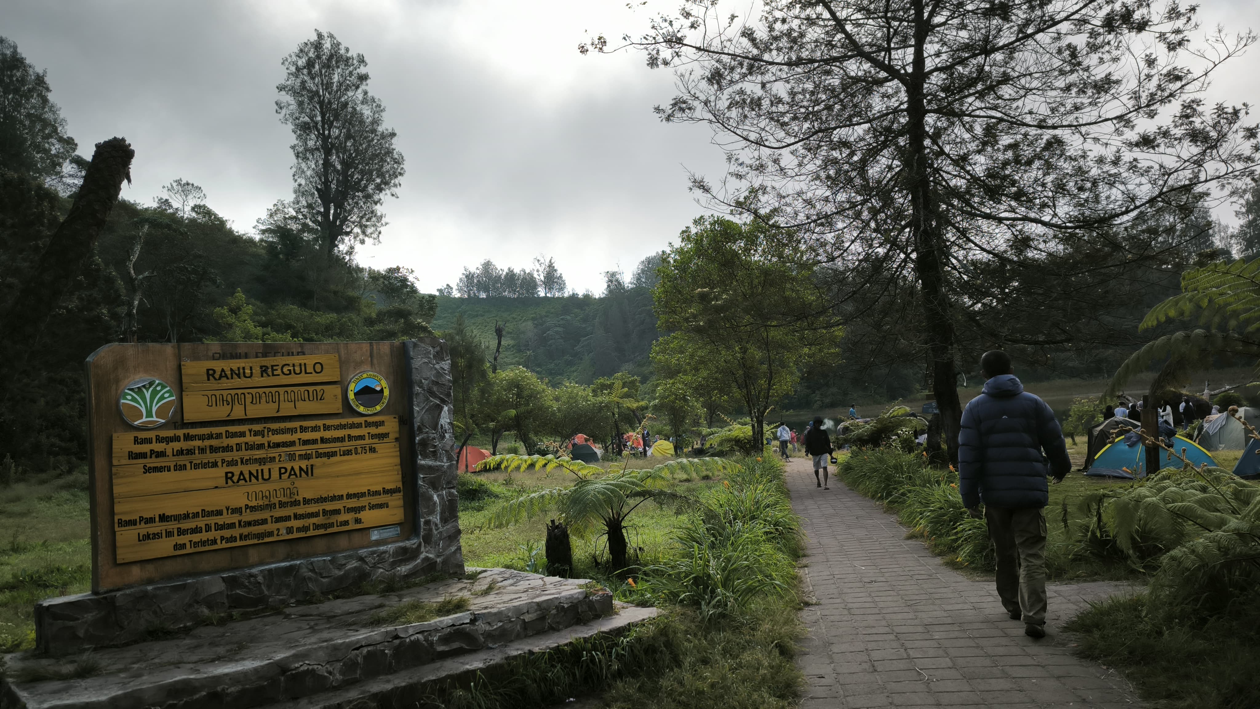 Jalan menuju Ranu Regulo (RadarJember)