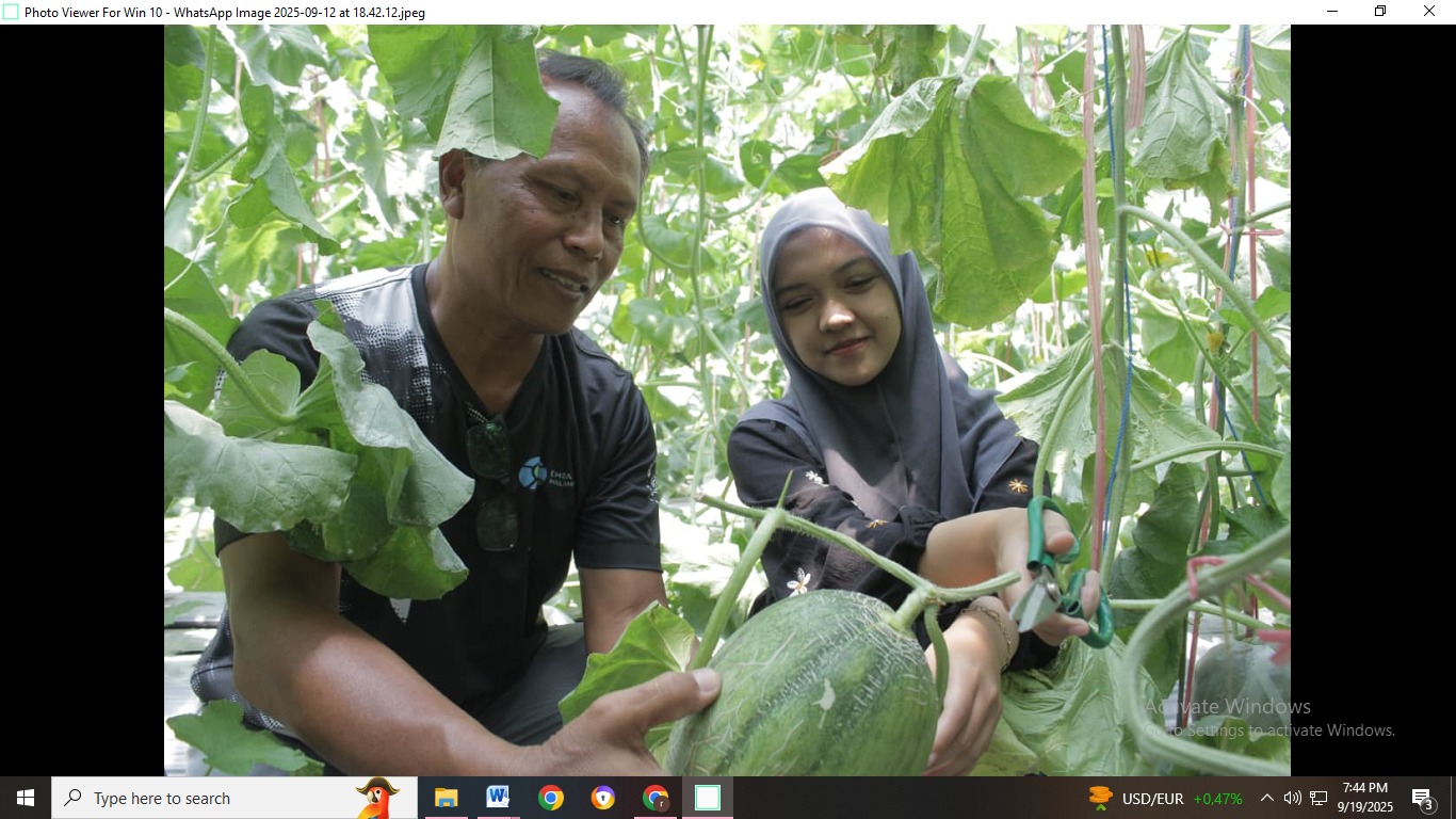 FOKUS: Sejumlah pengunjung mendengarkan penjelasan dari Augustinus Kristiono, pemilik Bhumi Yasa Sita Green House Bondowoso. (ILHAM WAHYUDI/RADAR IJEN)