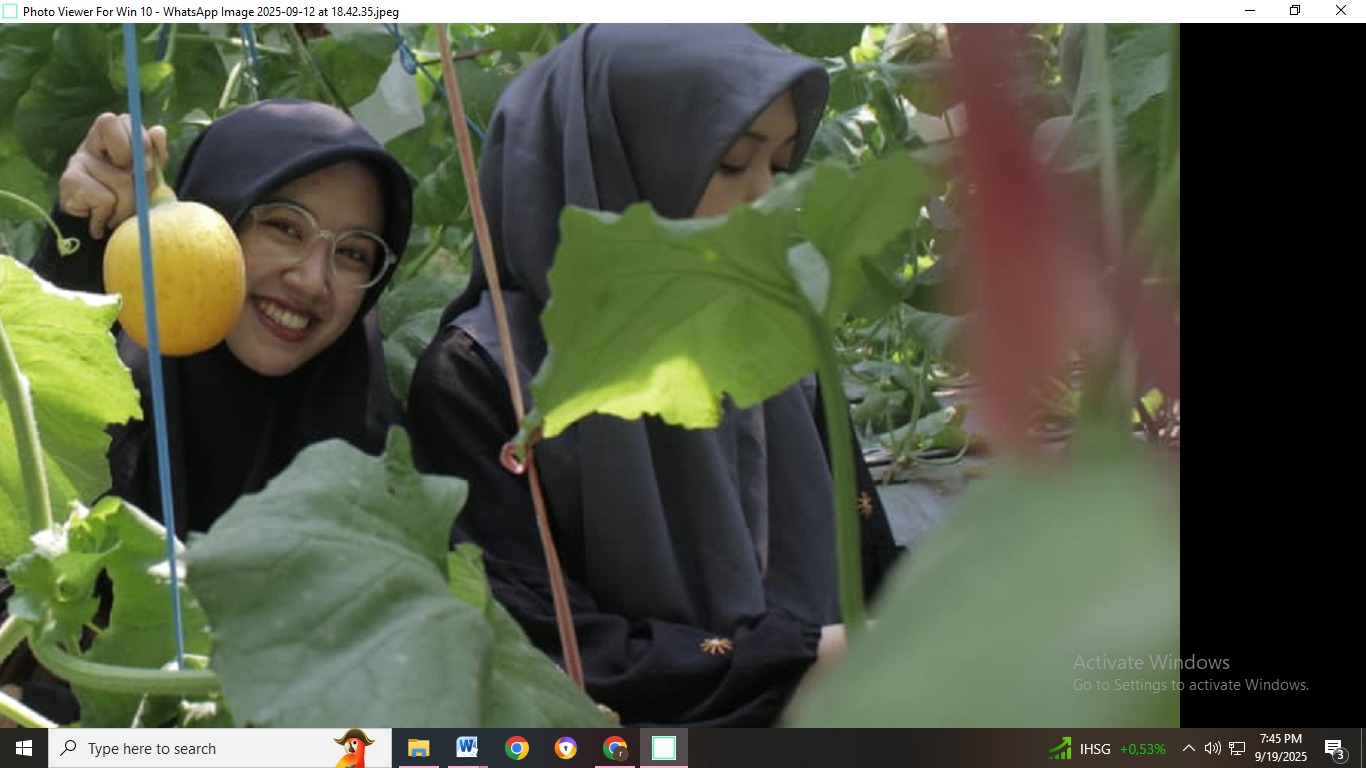 wisatawan menikmati melon yang ada di Bondowoso