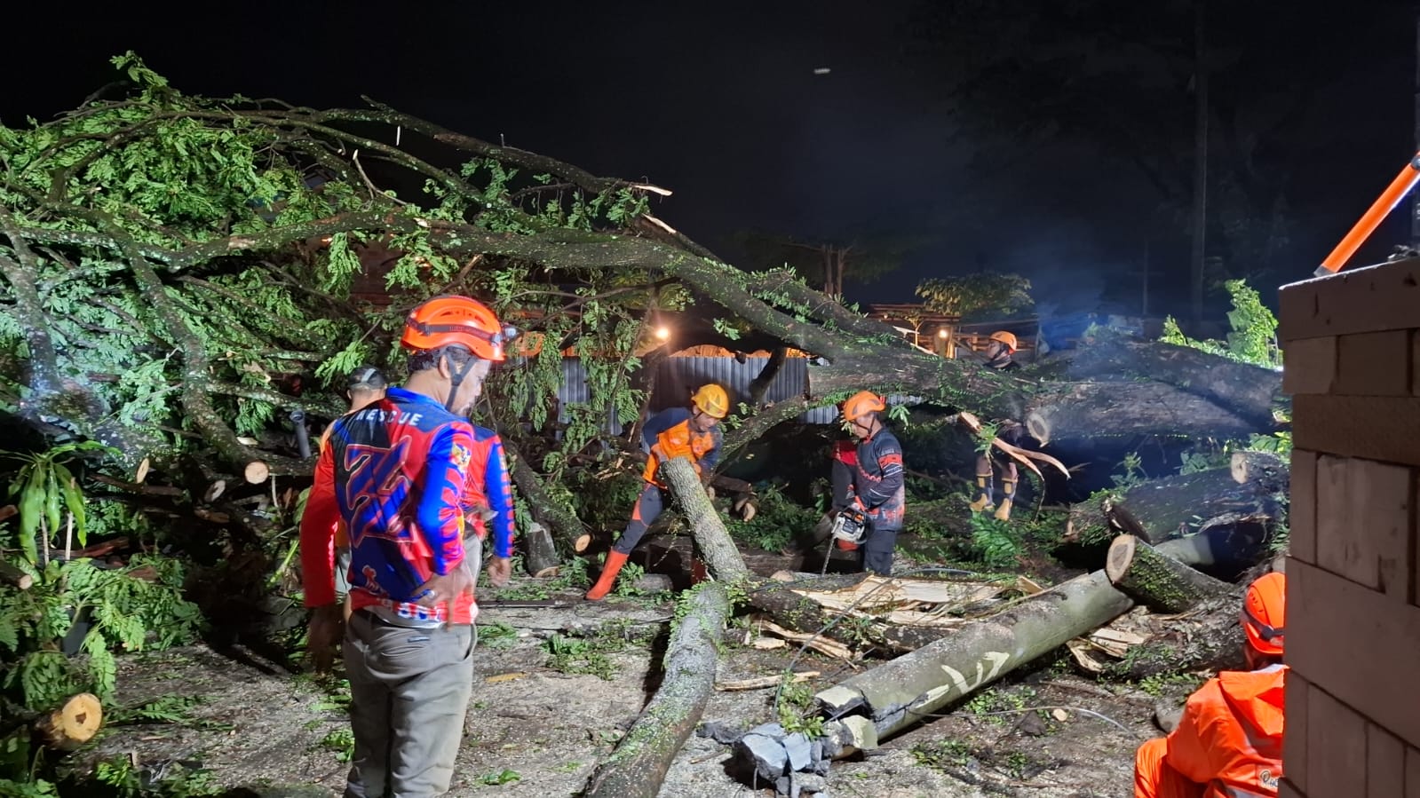 BPBD JEMBER  DAMPAK ANGIN KENCANG: Personel BPBD Jember menangani pohon tumbang yang menimpa bangunan di Kecamatan Sumbersari seusai diterjang angin kencang.