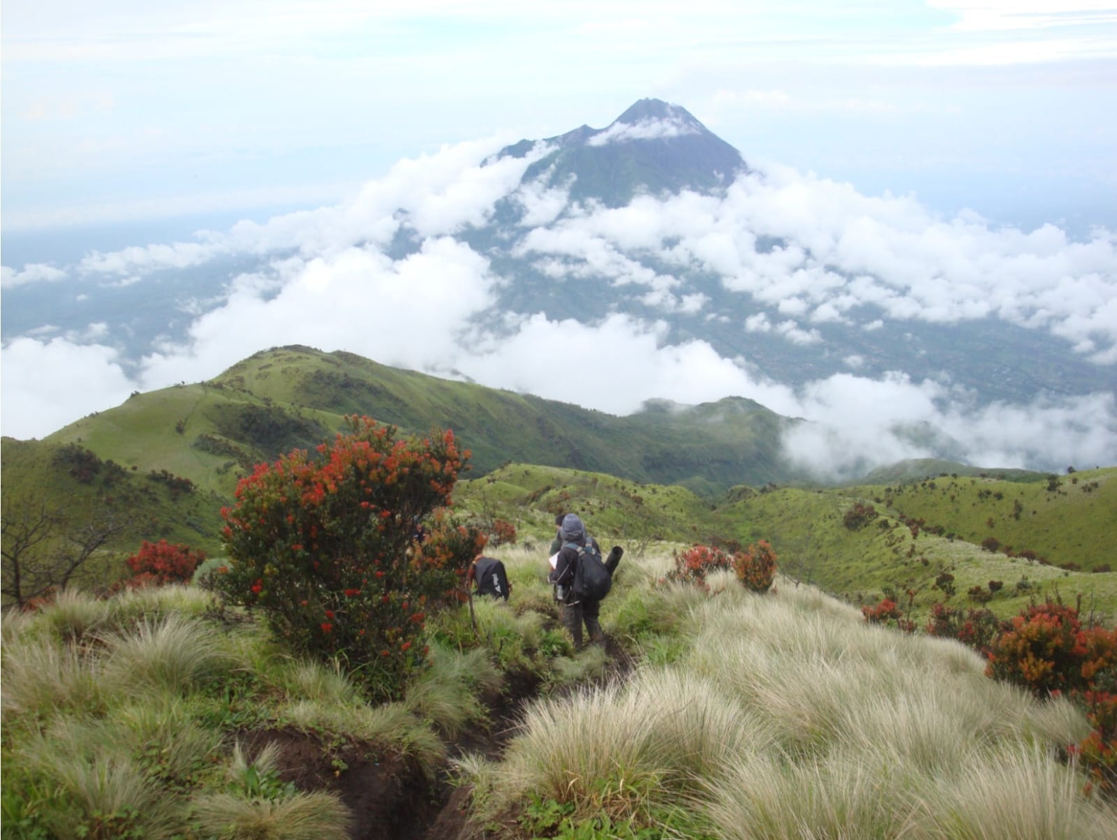 Misteri Harta Karun Terkutuk Dewi Rengganis di Jalur Pendakian Gunung Argopuro Dok. ( Taureg Adventure&nbsp;Services)