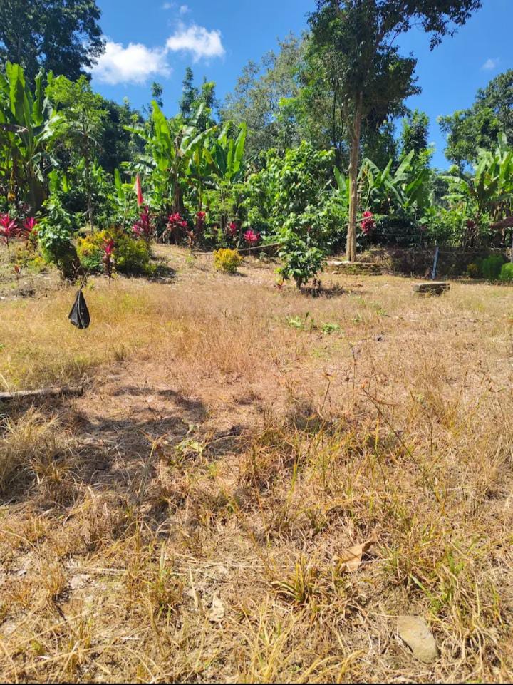 Sembah Tulis, Jejak dakwah dan Aura Gaib Di Tengah Rimba Tanggul    Gambar :&nbsp;satelit&nbsp;Jember