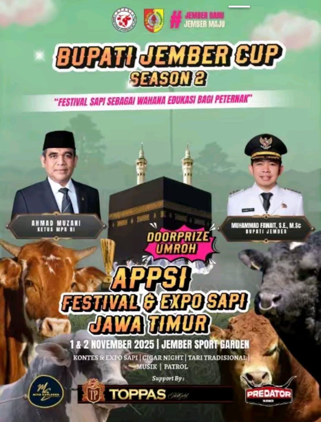 festival sapi