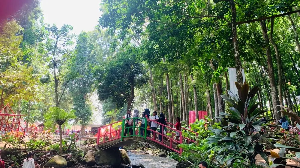 suasana kampung durian di jember. diambil dari website traveloka
