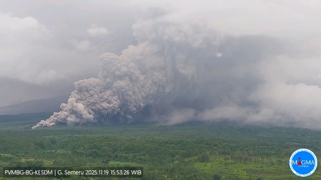 Gunung Semeru di Lumajang alami erupsi. PVMBG ingatkan warga untuk tidak mendekati lokasi guguran awan panas.