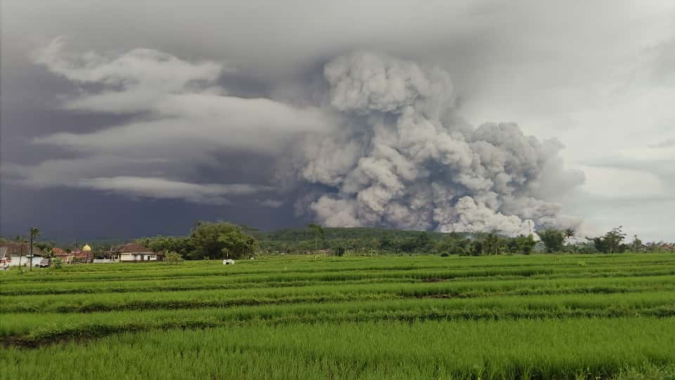 Jalur pendakian Gunung Semeru Lumajang ditutup akibat erupsi.