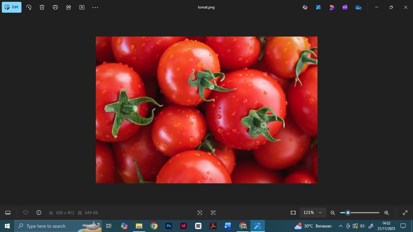 FOTO: diambil dari website pixabay kiriman Myriams-Fotos