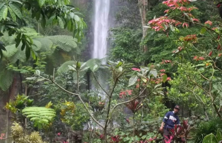 FOTO: diambil dari website radar Jember