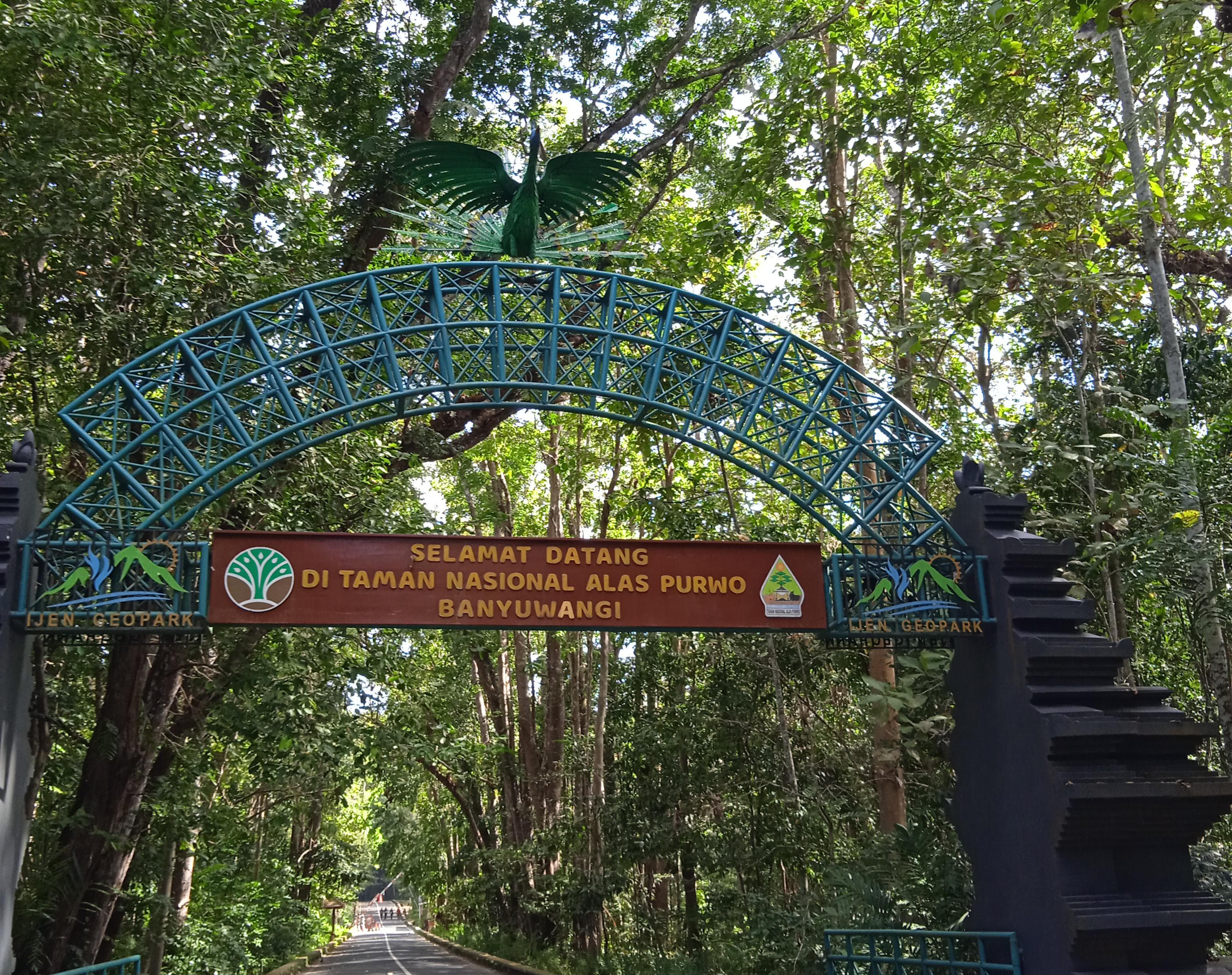 Misteri dan Keindahan Alam yang Menyelimuti Alas Purwo Banyuwangi, Hutan Paling Legendaris di Ujung Timur Jawa dan Disebut Tanah Pertama yang Muncul di Pulau Jawa