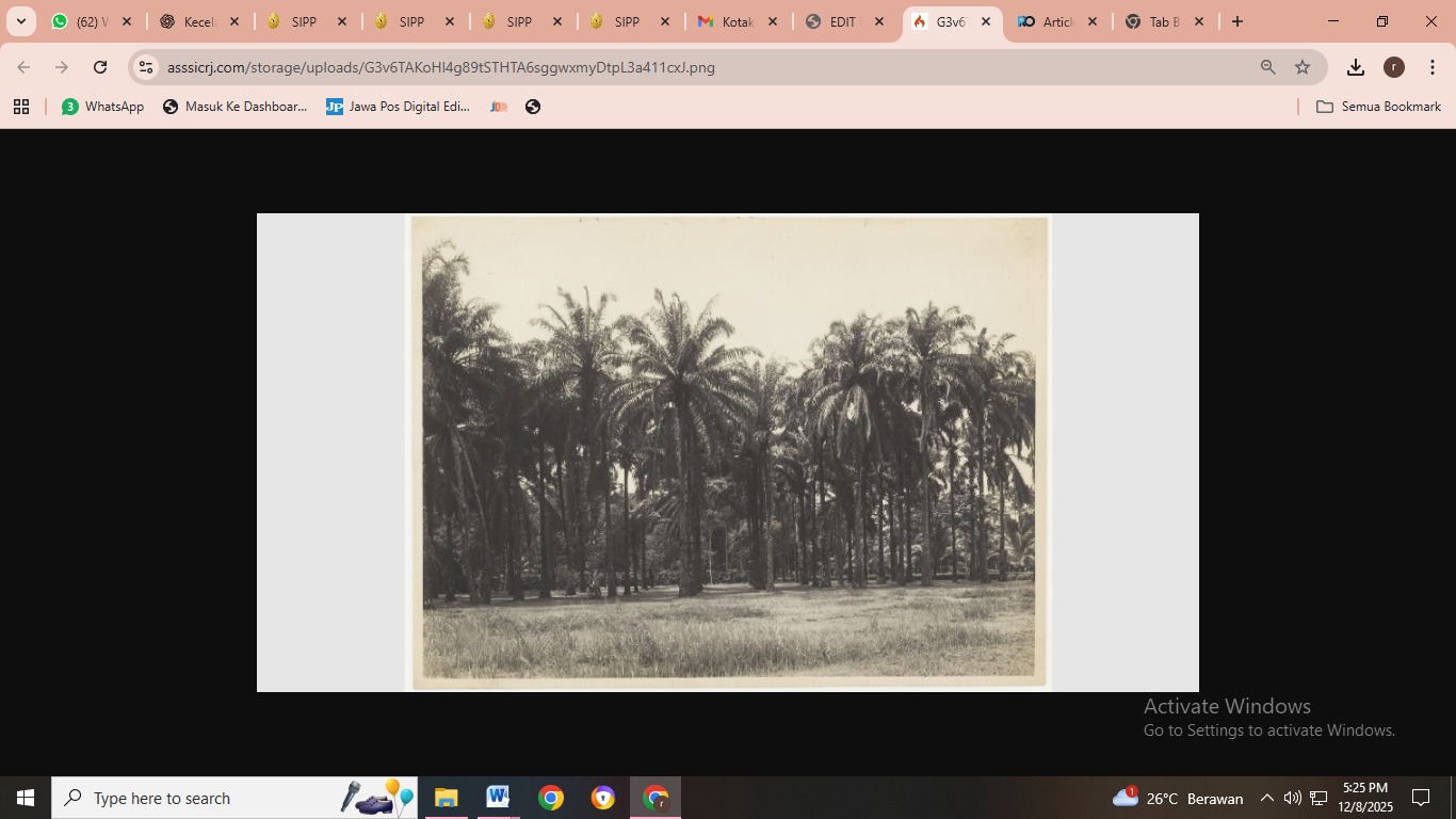 FOTO: diambil dari arsip pepustakaan Universitas Leiden tahun 1920