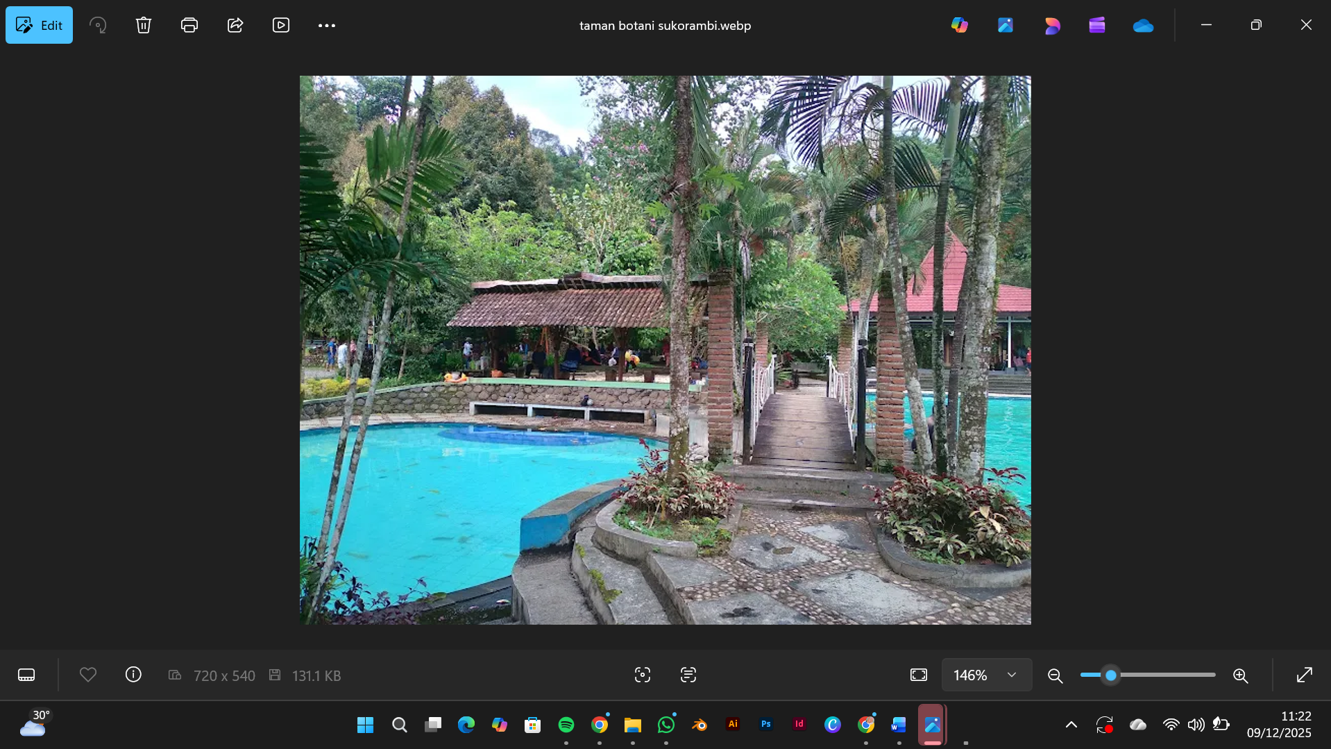 Taman Botani Sukorambi  (Neo_Ulla Anindito/ Google Maps)