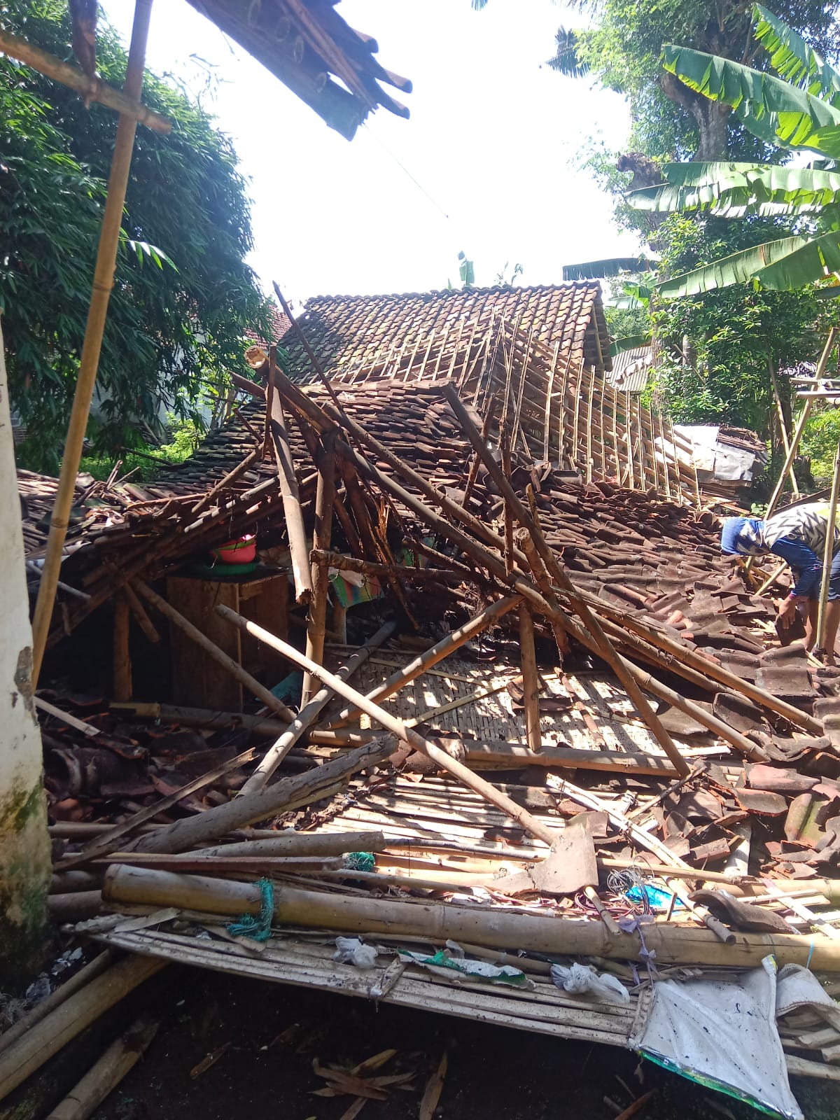 Dalam Sehari, 2 Rumah Warga Jember Mendadak Ambruk