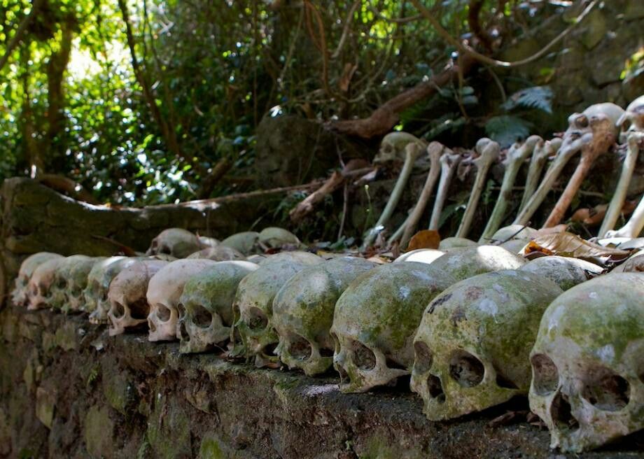 Tradisi Pemakaman Trunyan di Bali: Ritual Mepasah dan Misteri Pohon Taru Menyan yang Hilangkan Bau Kematian