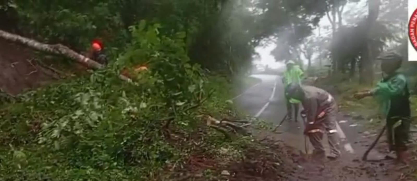 Longsor terjadi di 3 Kecamatan di Jember. Petugas terus lakukan penanganan